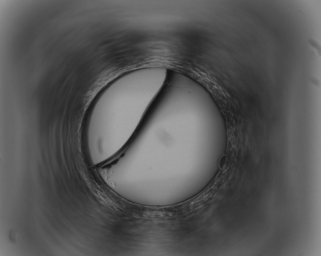 X0000093360242200710111313