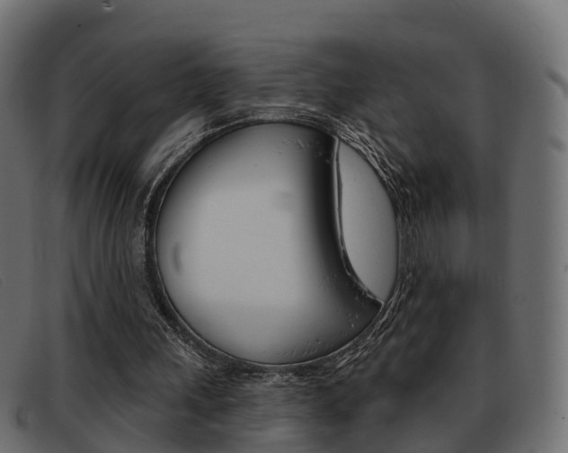 X0000093360243200710111313