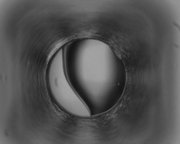 X0000093360244200710111313
