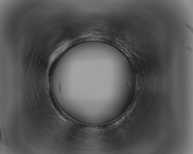 X0000093360245200710111313