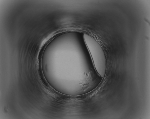 X0000093360246200710111313