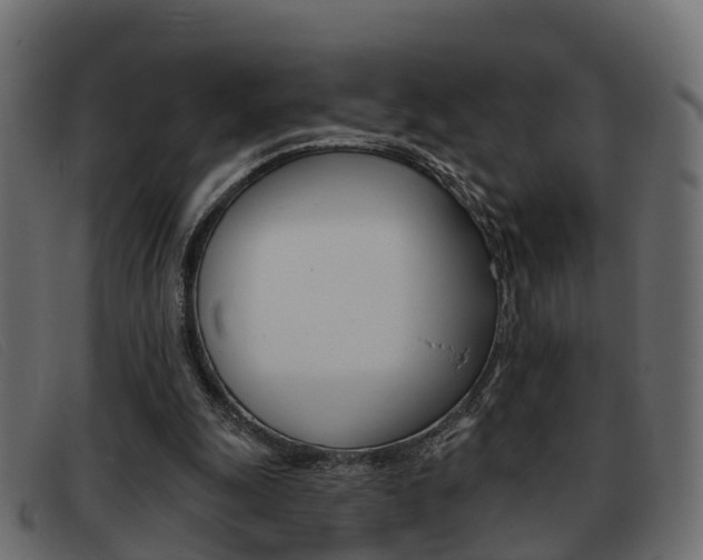 X0000093360247200710111313