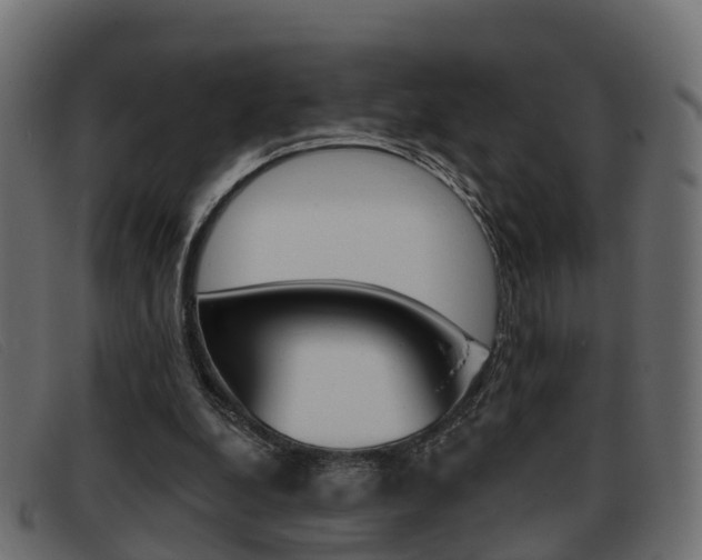 X0000093360248200710111313