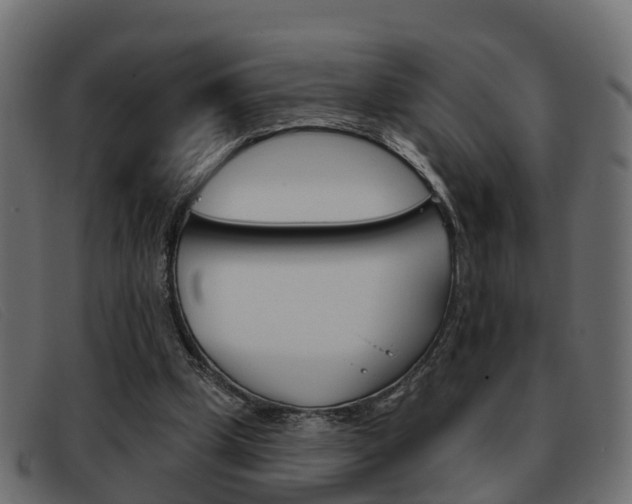X0000093360249200710111313