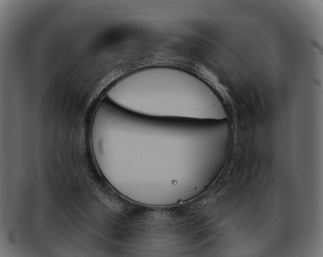 X0000093360250200710111314