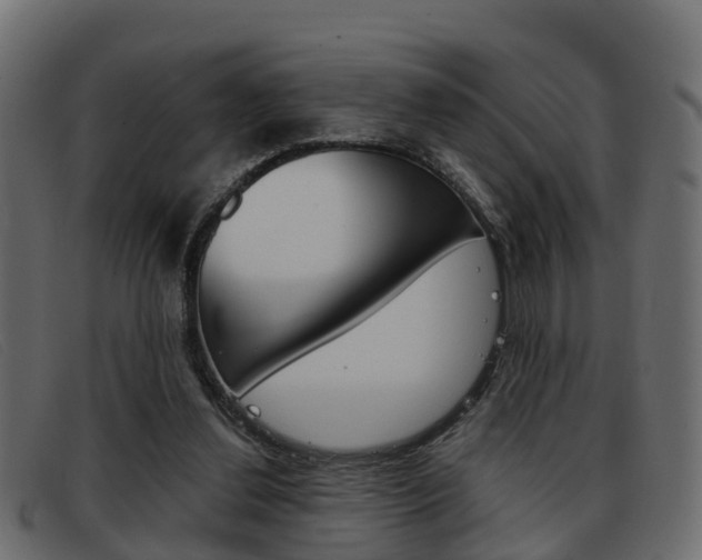 X0000093360252200710111314