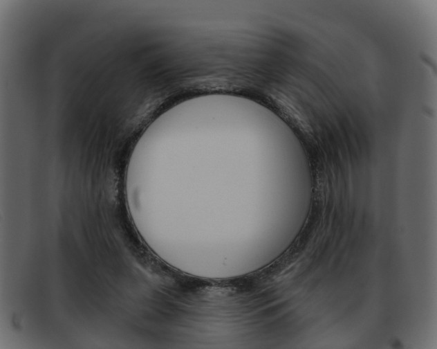 X0000093360255200710111314
