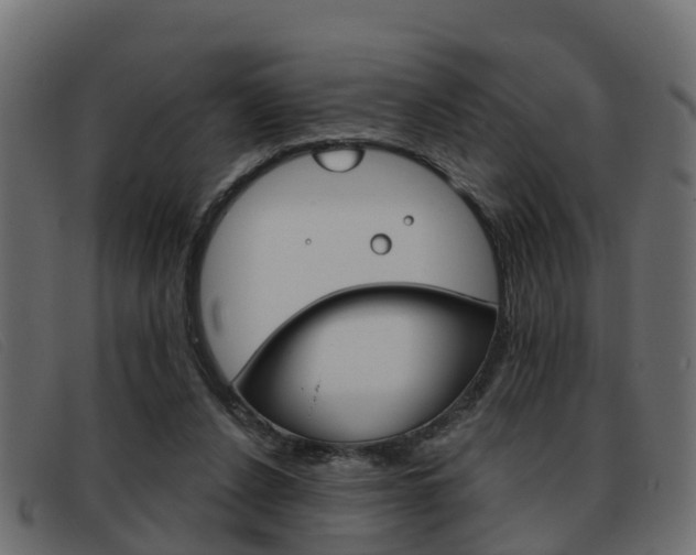 X0000093360256200710111314