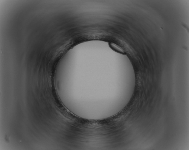 X0000093360258200710111314