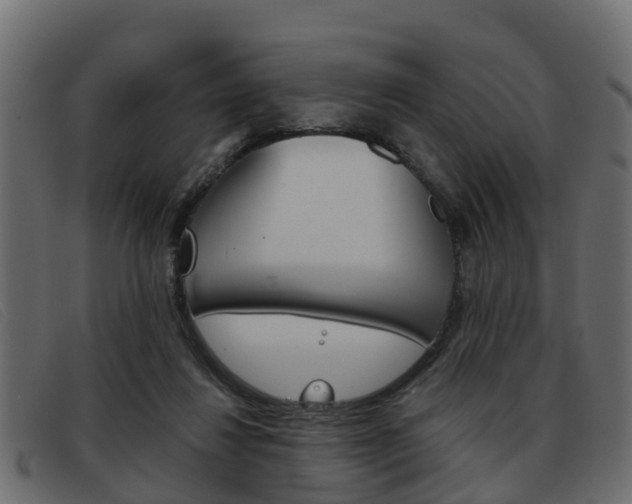 X0000093360260200710111314
