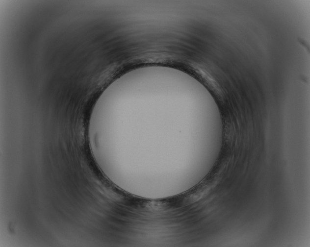 X0000093360261200710111314