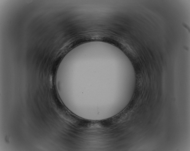 X0000093360262200710111314