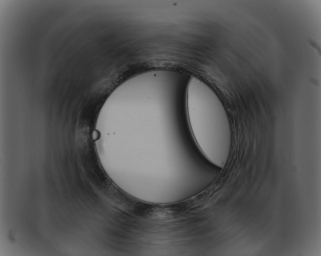 X0000093360263200710111314