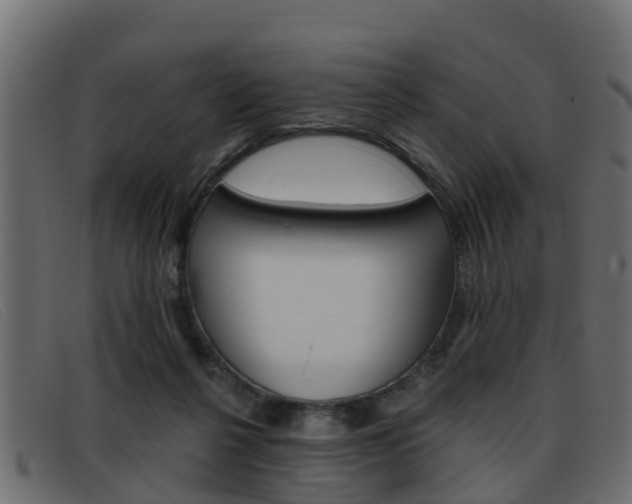 X0000093360264200710111314