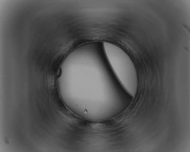 X0000093360268200710111314