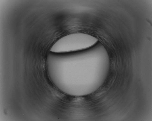 X0000093360274200710111314