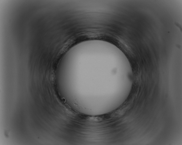 X0000093360277200710111314