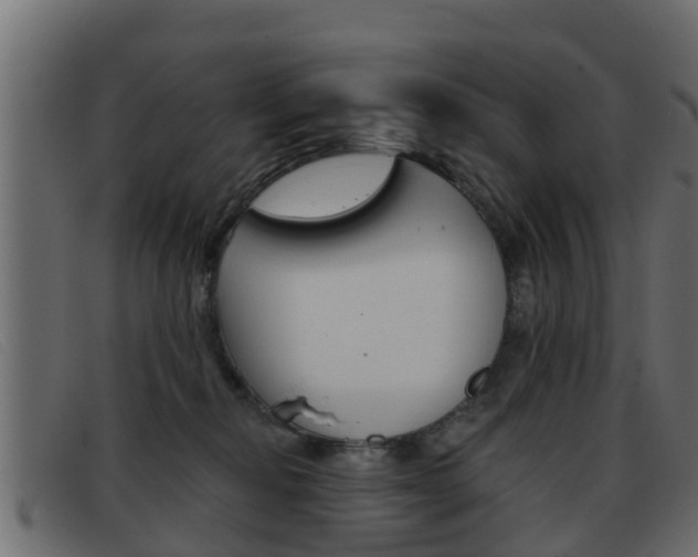 X0000093360278200710111314