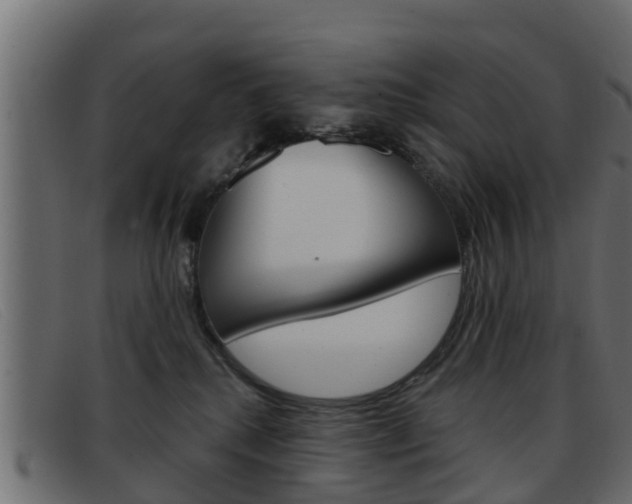 X0000093360280200710111314