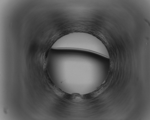 X0000093360285200710111314