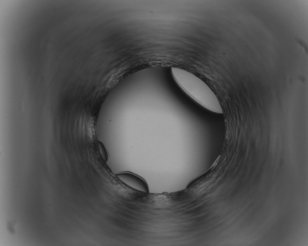 X0000093360287200710111314