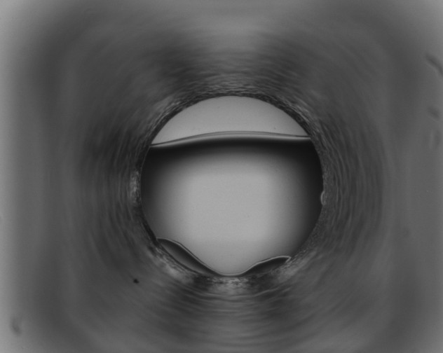 X0000093360288200710111314
