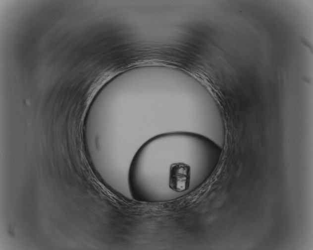 X0000093360289200710111313