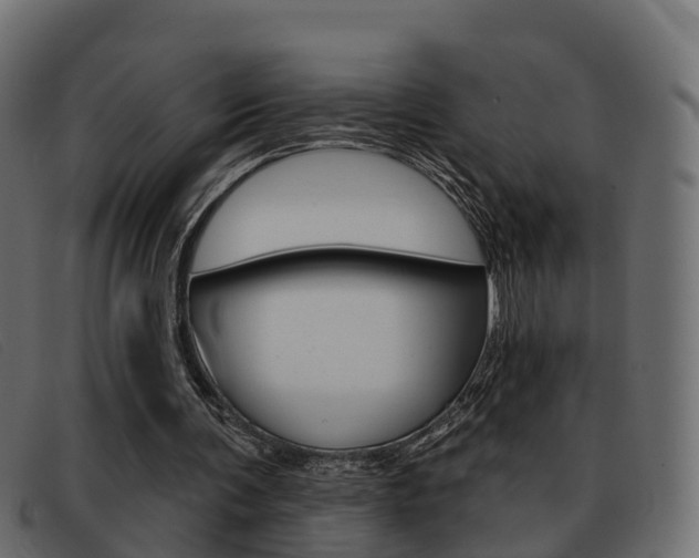 X0000093360291200710111313