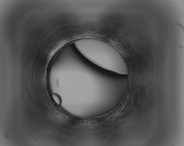 X0000093360292200710111313