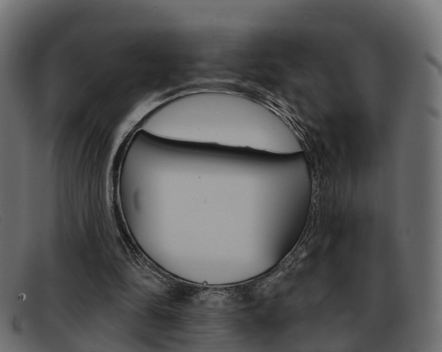 X0000093360294200710111313