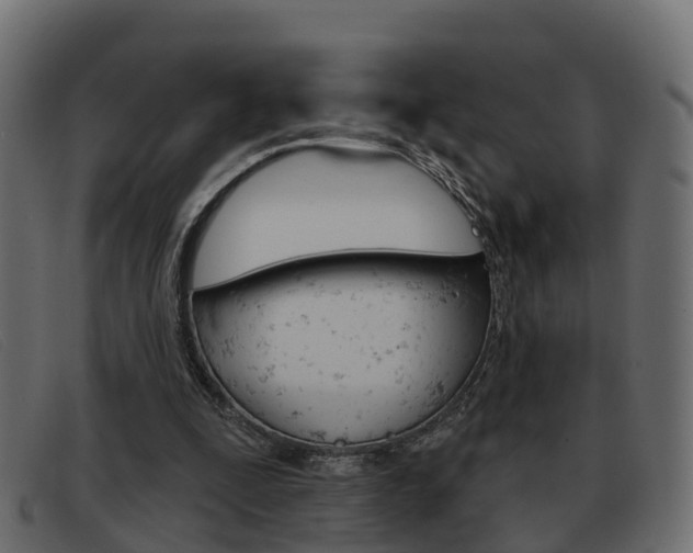 X0000093360295200710111313