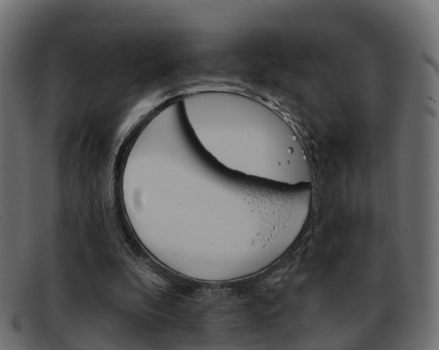 X0000093360296200710111313