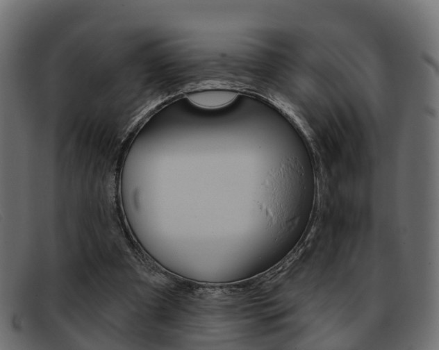 X0000093360297200710111313