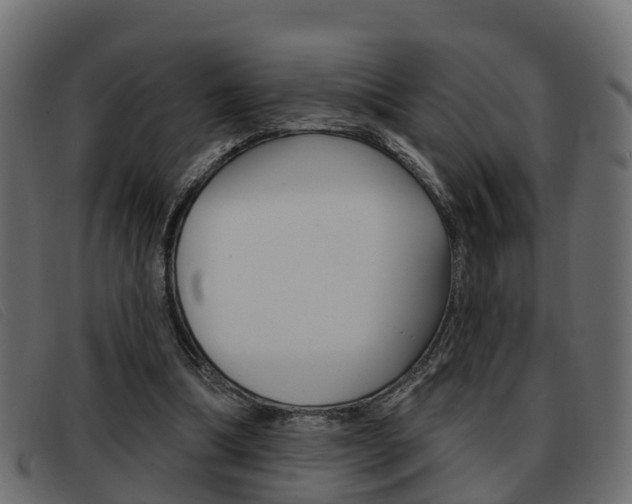 X0000093360298200710111313