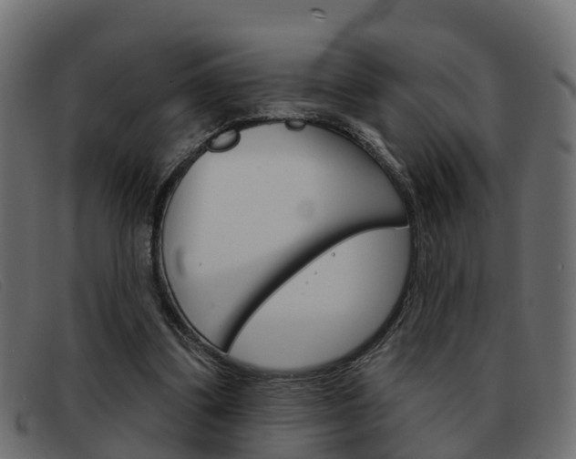 X0000093360299200710111313