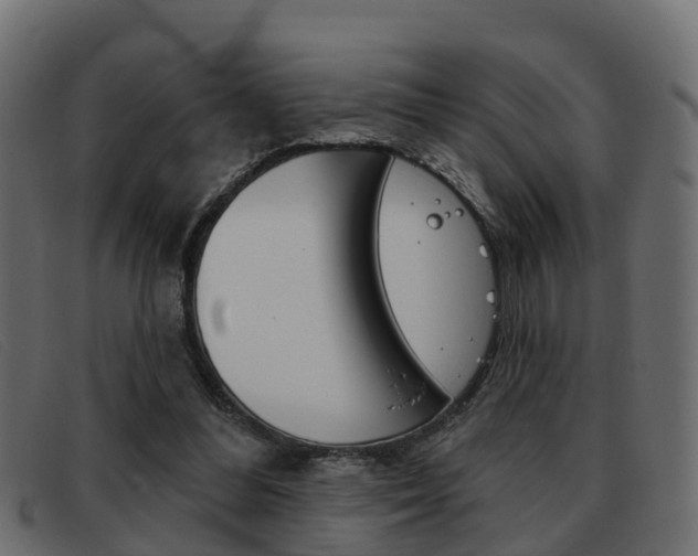 X0000093360300200710111313