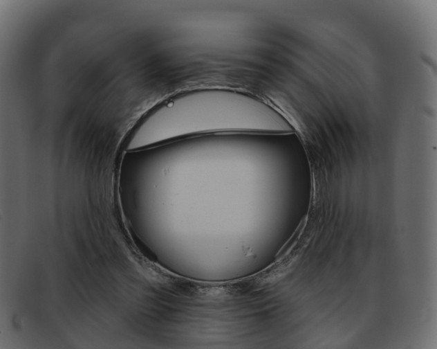X0000093360301200710111313