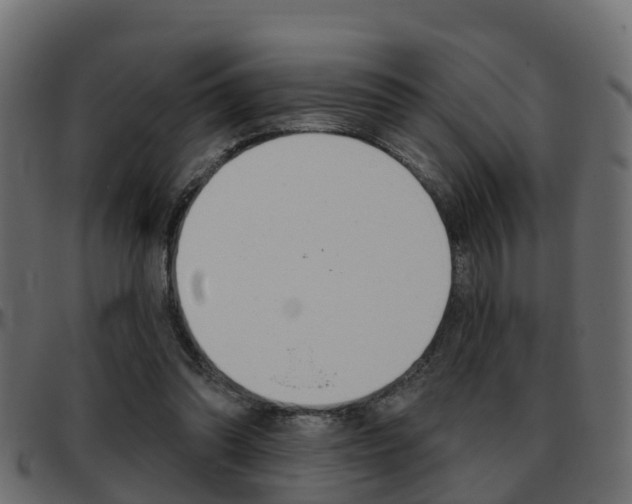 X0000093360302200710111313