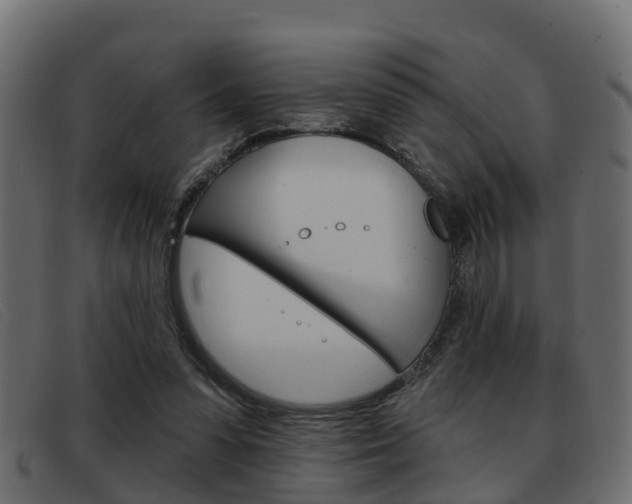 X0000093360303200710111313