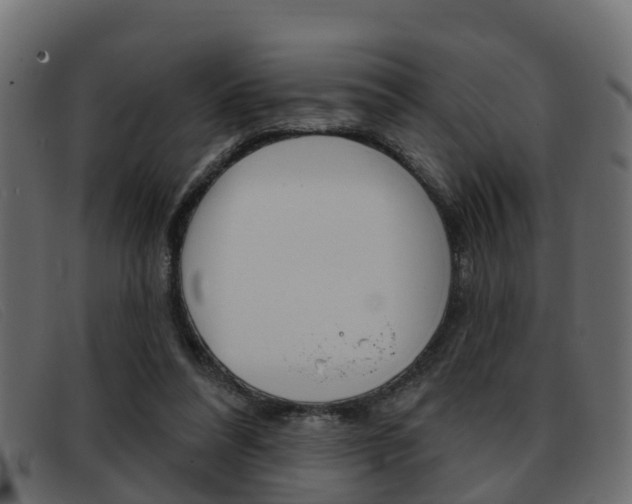 X0000093360304200710111313