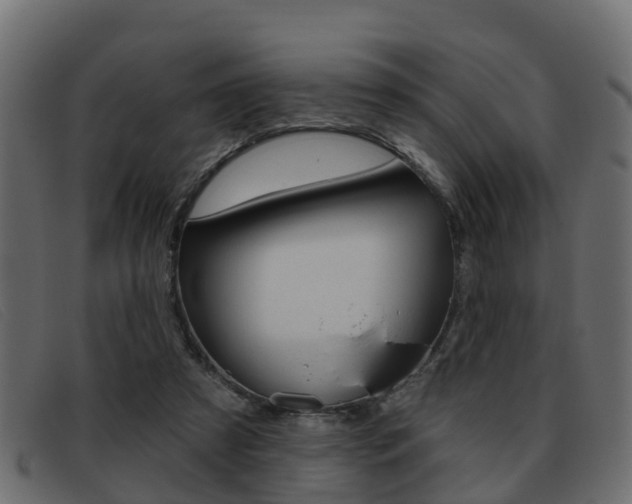 X0000093360305200710111313