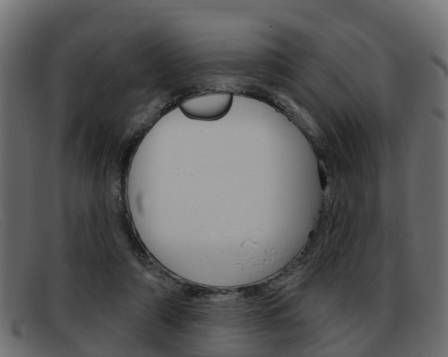 X0000093360306200710111313