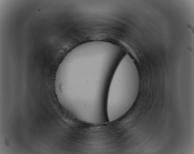 X0000093360307200710111313