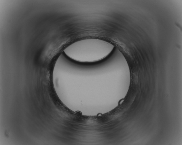 X0000093360308200710111313