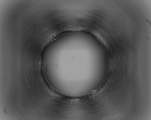 X0000093360309200710111313
