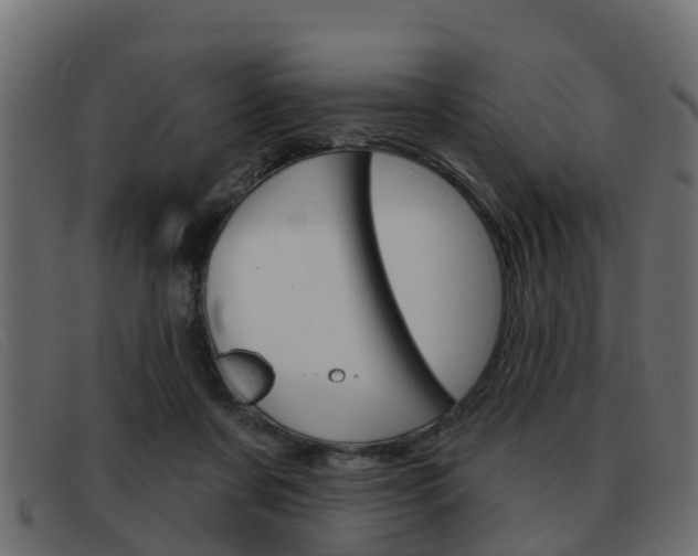 X0000093360311200710111313