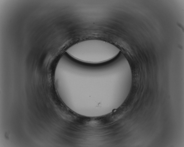 X0000093360312200710111313