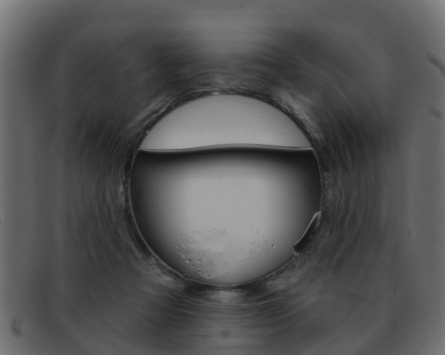 X0000093360313200710111313