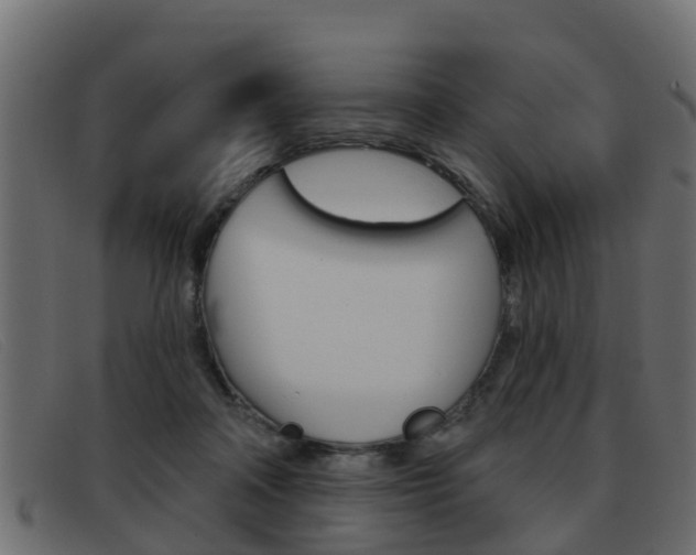 X0000093360314200710111313