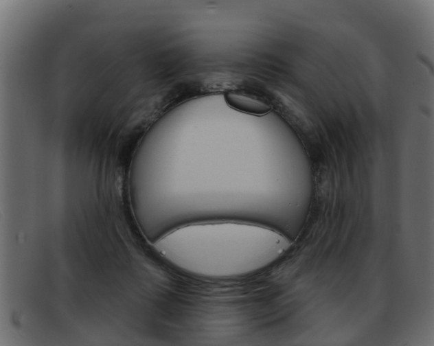X0000093360315200710111313